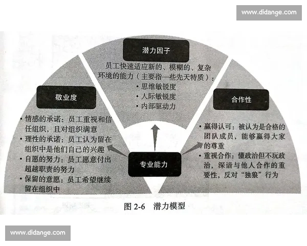 敬业精神引领职业成长与团队协作的实践探索